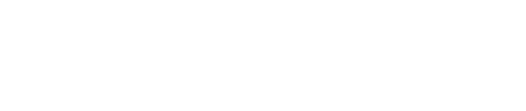 Neo Republica