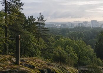 Restricted Green Zone editorial about environmental conservation and protected green spaces