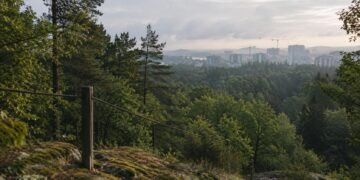 Restricted Green Zone editorial about environmental conservation and protected green spaces